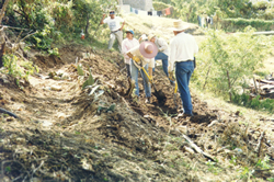 Terraces